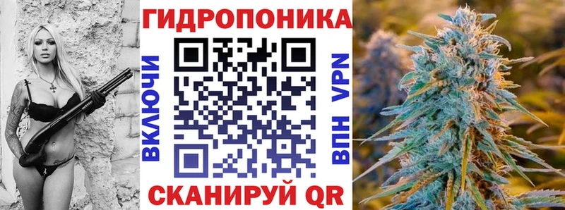 Бошки Шишки конопля  OMG   Чадан 